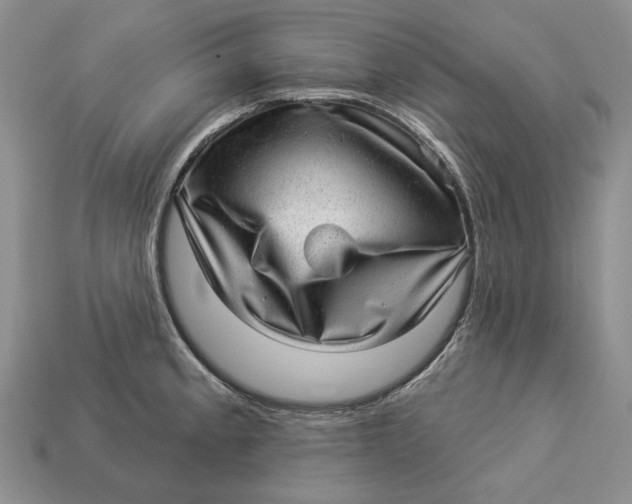 X0000112981189200909171332