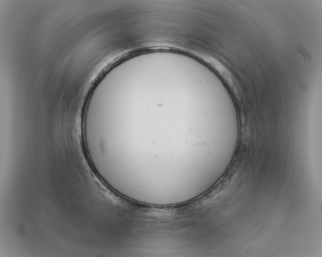 X0000112981191200909171332