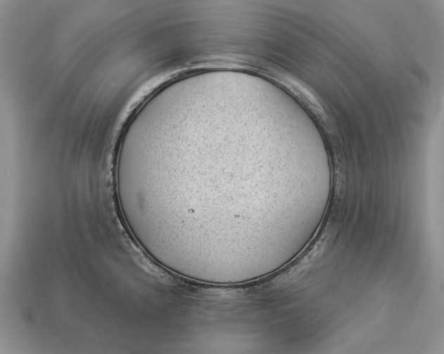 X0000112981192200909171332