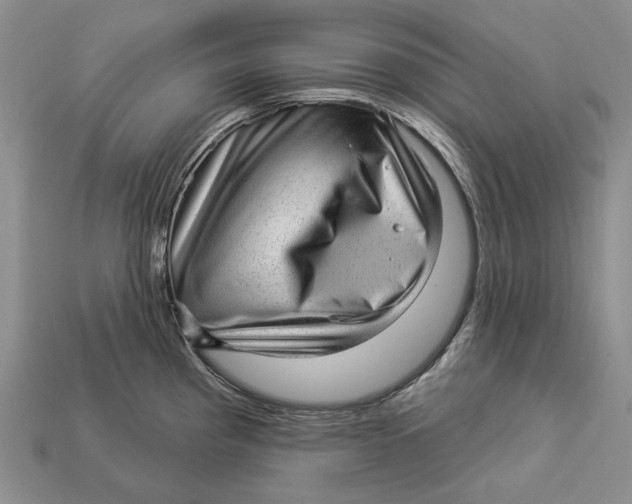 X0000112981193200909171332