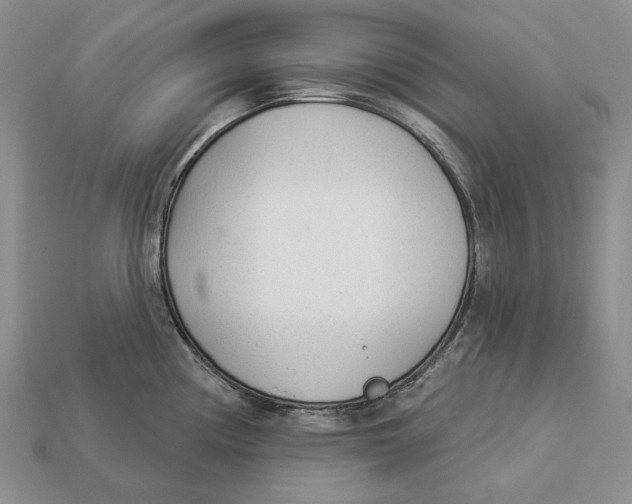 X0000112981194200909171332