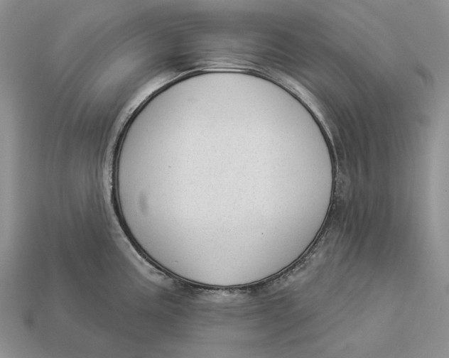 X0000112981195200909171332