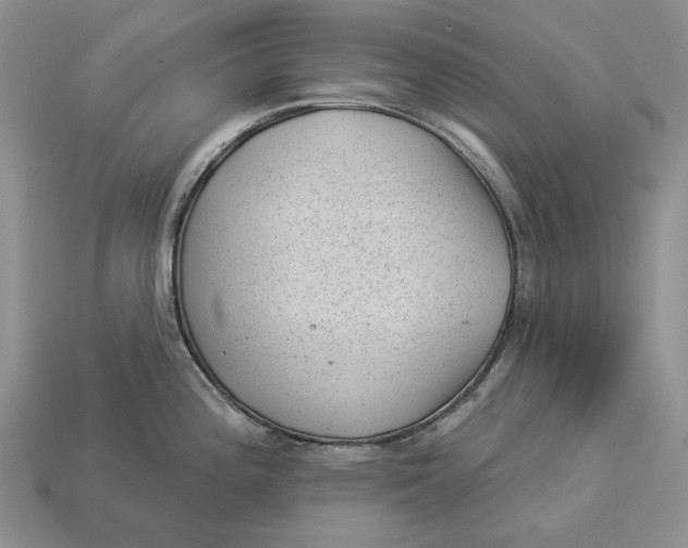 X0000112981196200909171332