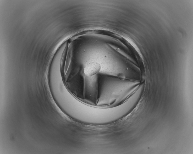 X0000112981197200909171332