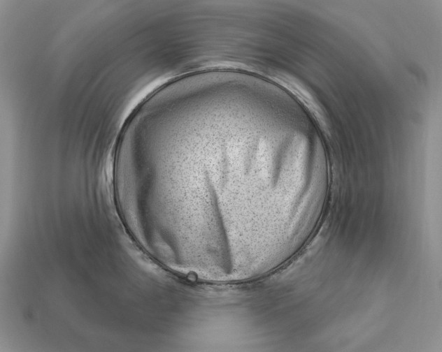 X0000112981198200909171332