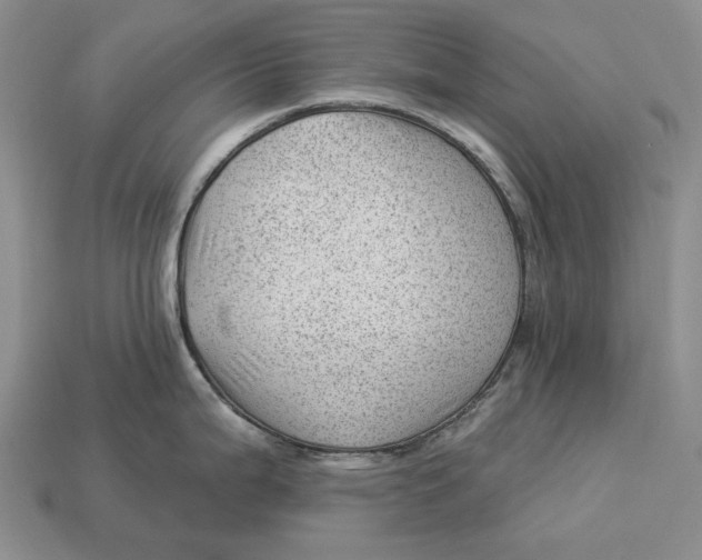 X0000112981199200909171332