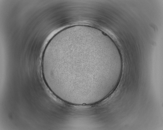 X0000112981200200909171332