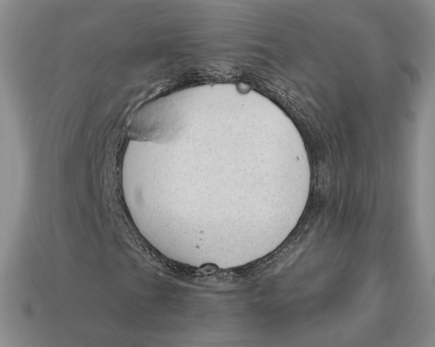 X0000112981201200909171331