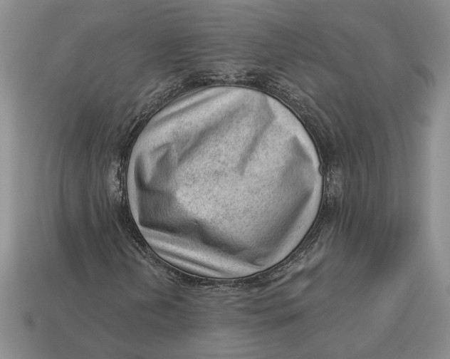 X0000112981202200909171331