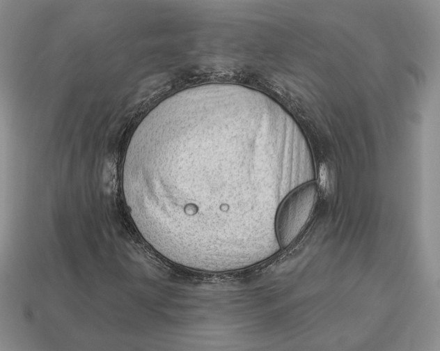 X0000112981203200909171331