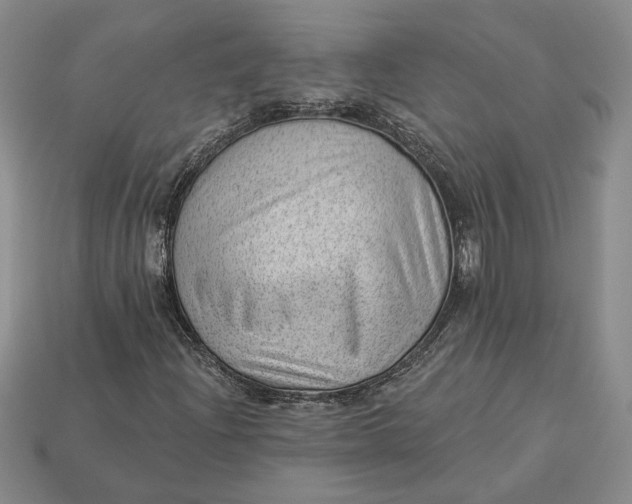 X0000112981204200909171331