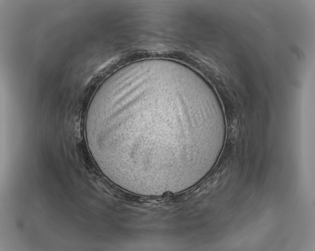 X0000112981205200909171331