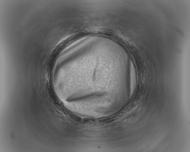 X0000112981206200909171331