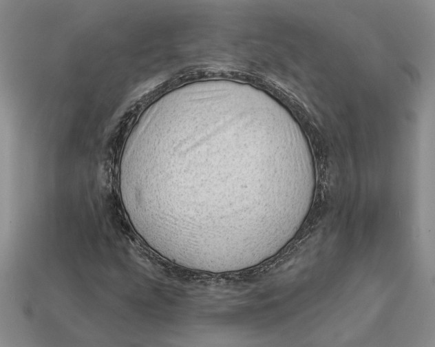 X0000112981207200909171331