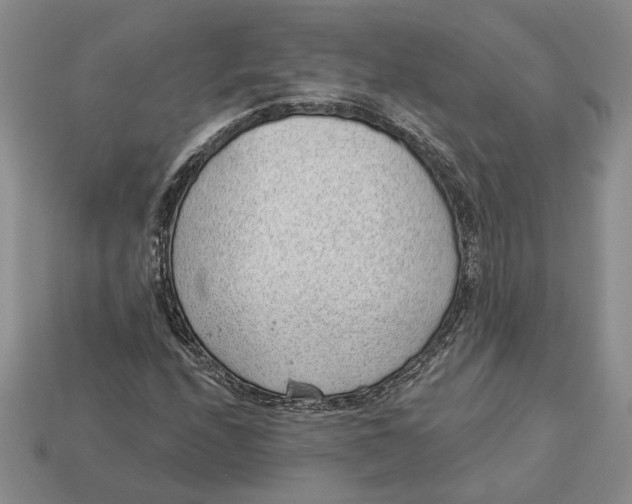 X0000112981208200909171331