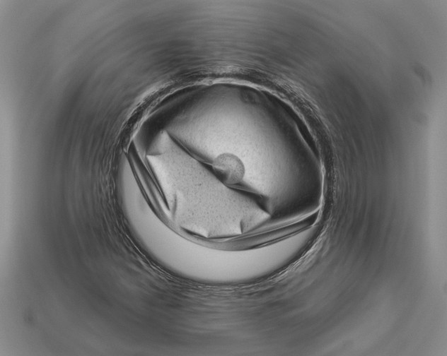 X0000112981210200909171331