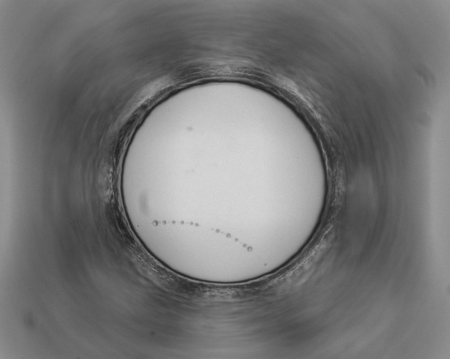 X0000112981211200909171331