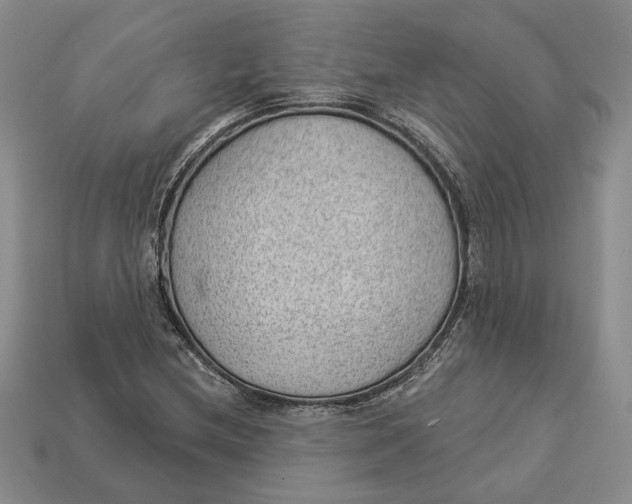 X0000112981212200909171331