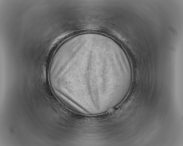 X0000112981214200909171332