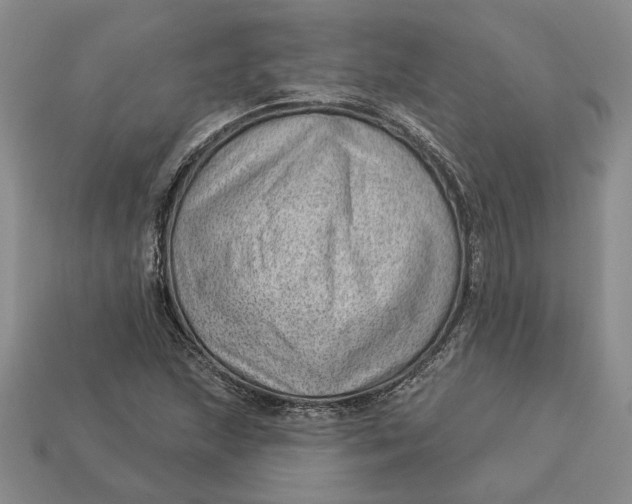 X0000112981215200909171332