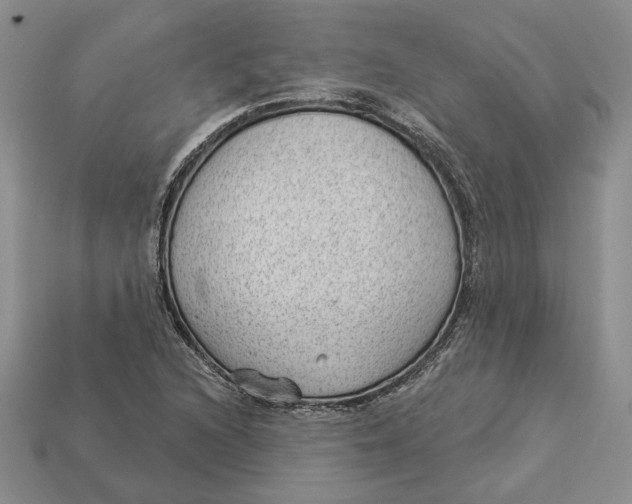 X0000112981216200909171332