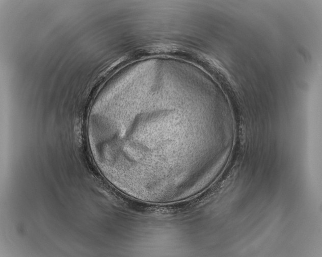 X0000112981217200909171332