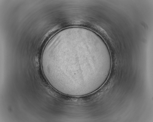 X0000112981218200909171332