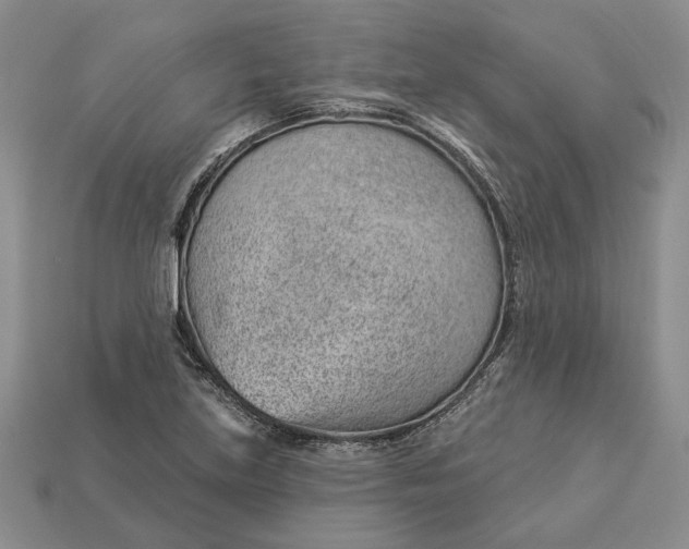 X0000112981219200909171332