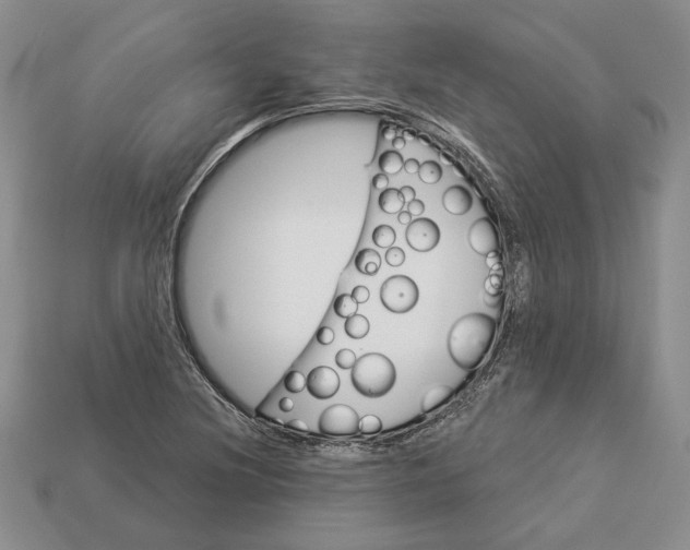 X0000112981220200909171332