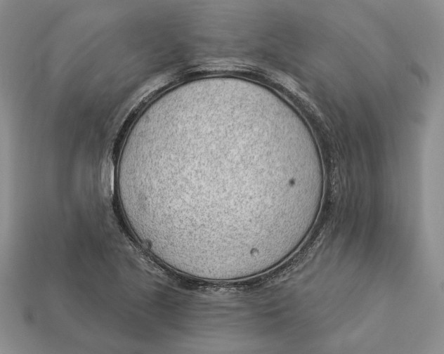 X0000112981221200909171332