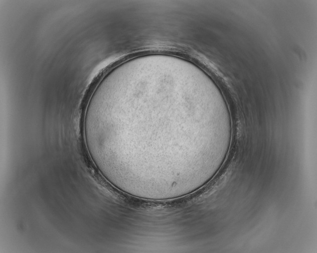 X0000112981222200909171332