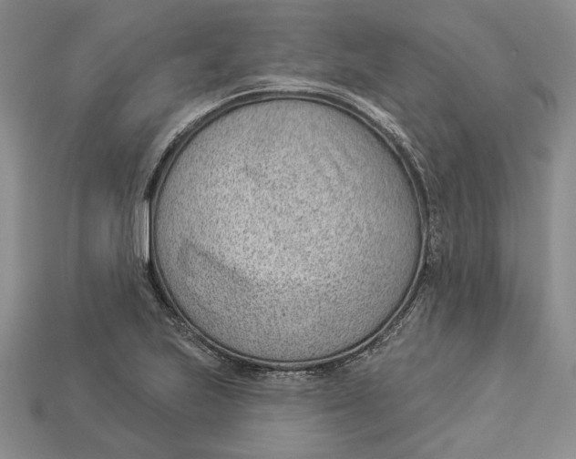 X0000112981223200909171332