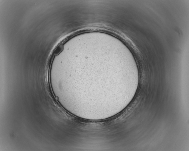 X0000112981224200909171332