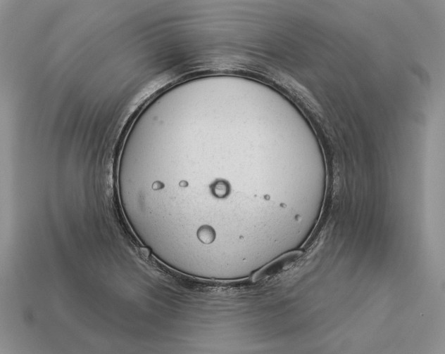 X0000112981226200909171332