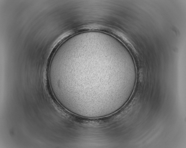 X0000112981229200909171332