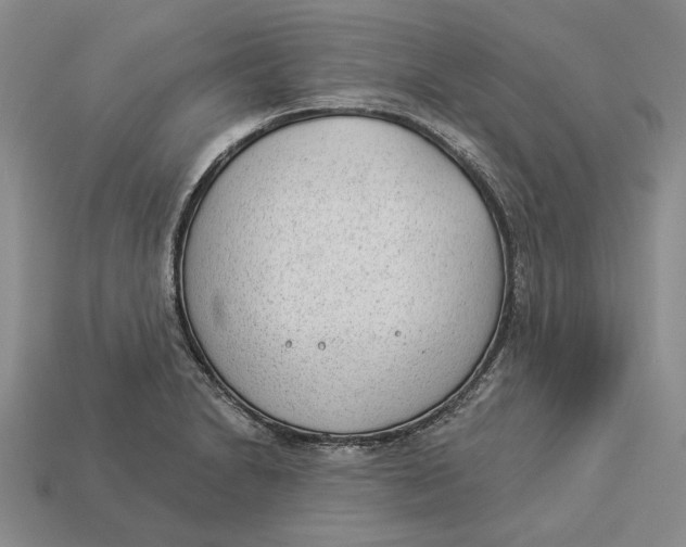 X0000112981230200909171332