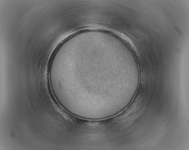 X0000112981231200909171332