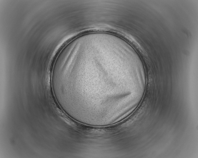 X0000112981232200909171332