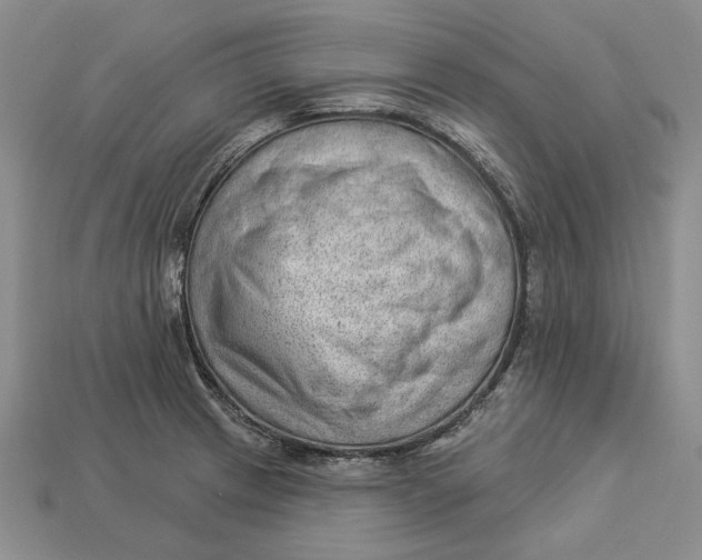 X0000112981233200909171332