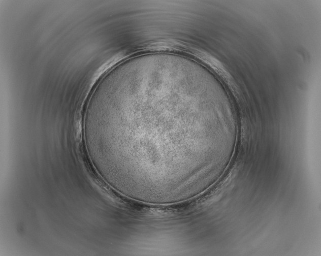 X0000112981234200909171332