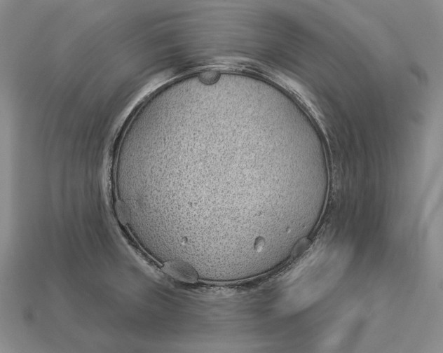 X0000112981235200909171332