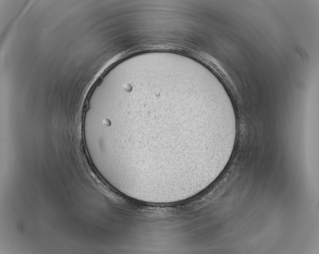 X0000112981236200909171332