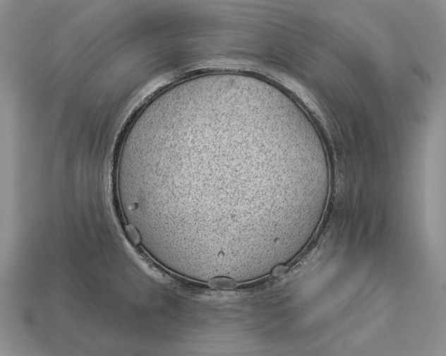 X0000112981237200909171332