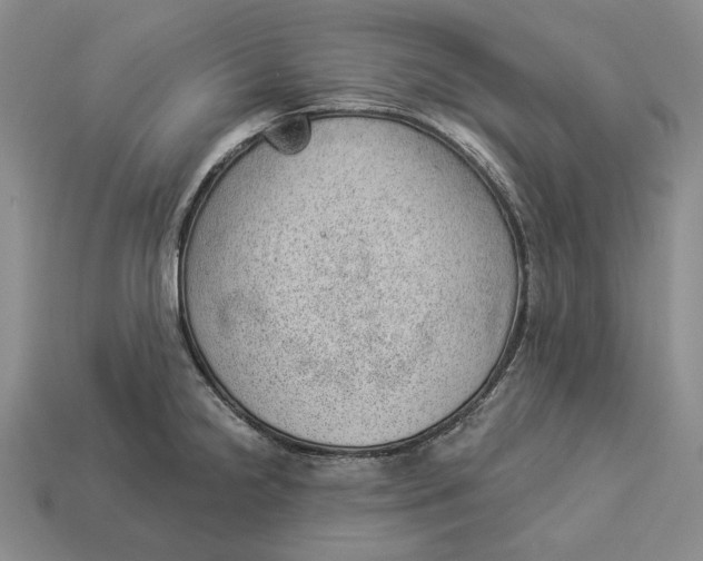 X0000112981238200909171332