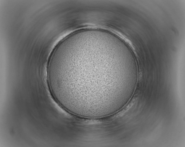 X0000112981239200909171332