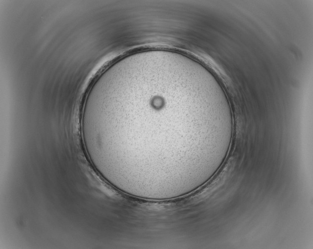 X0000112981240200909171332