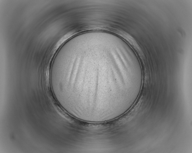 X0000112981242200909171332