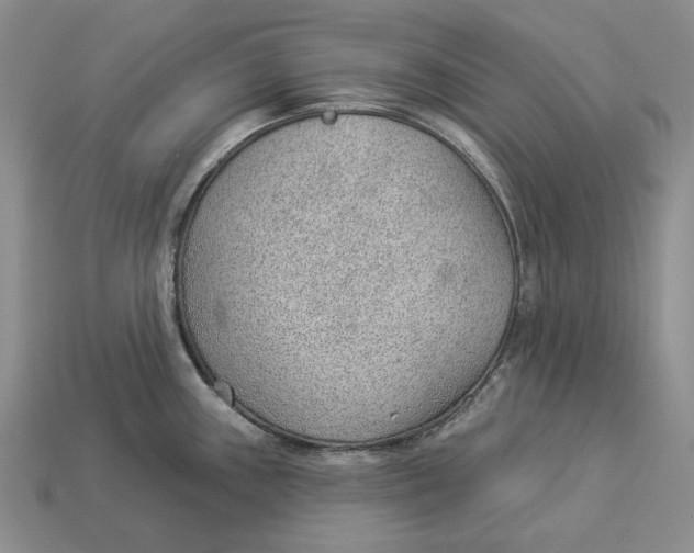 X0000112981243200909171332