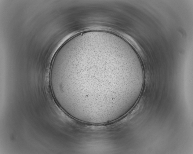 X0000112981244200909171332