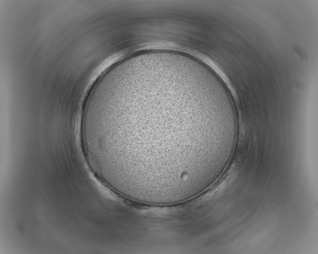 X0000112981245200909171332